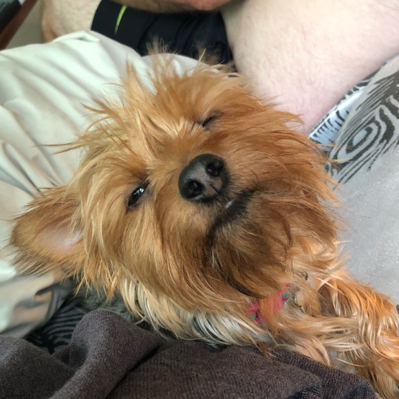 Meet your Posher, Jessica - Picture 1 of 1